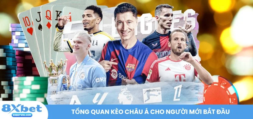 Tổng quan kèo châu Á cho người mới bắt đầu